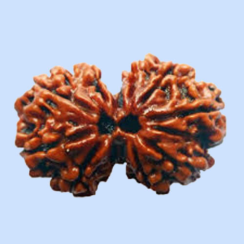 Gaurishankar Rudraksha